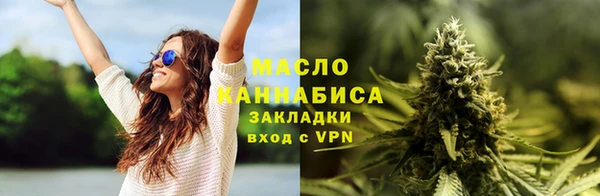 твердый Бородино