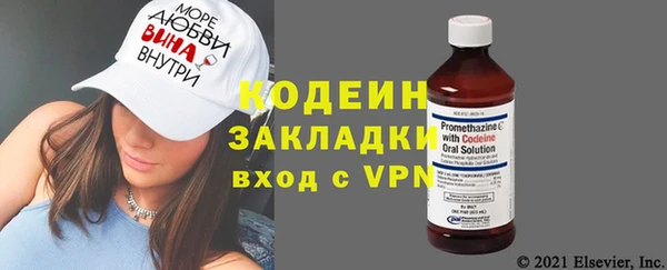 твердый Бородино