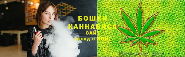 твердый Бородино