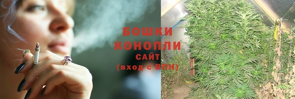 твердый Бородино