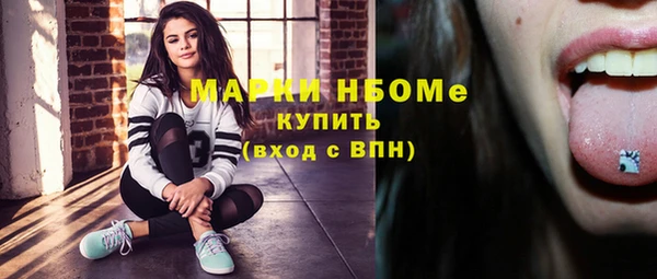 твердый Бородино