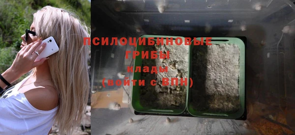 спайс Богданович