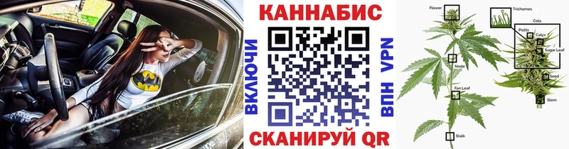 цены наркотик Гороховец Бошки Шишки гибрид